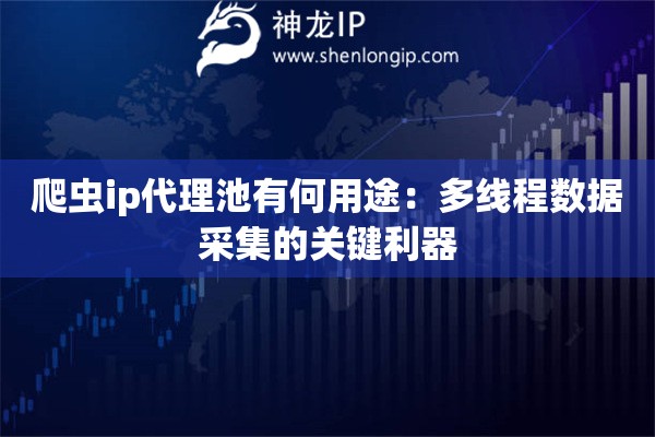 爬蟲ip代理池有何用途：多線程數(shù)據(jù)采集的關鍵利器