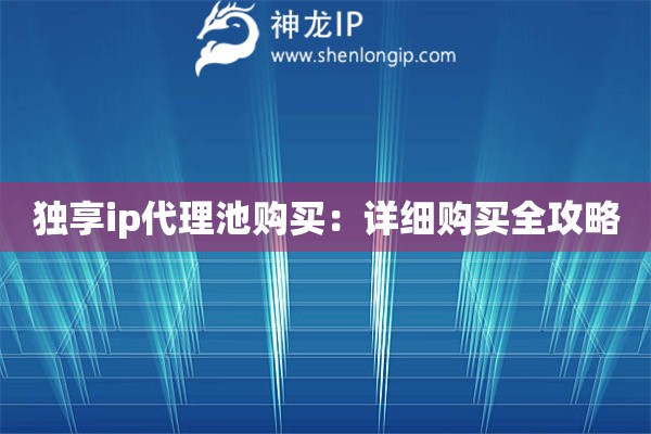 獨(dú)享ip代理池購(gòu)買：詳細(xì)購(gòu)買全攻略