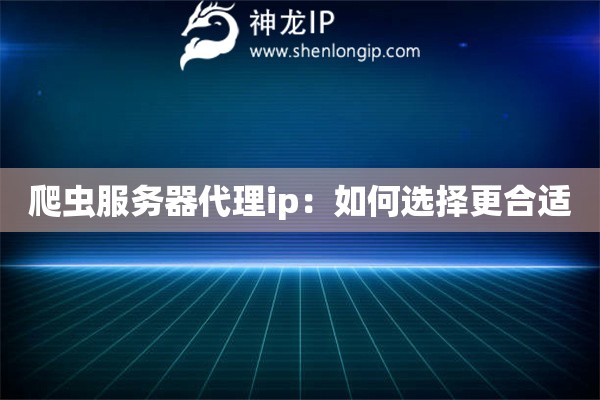 爬蟲服務(wù)器代理ip：如何選擇更合適