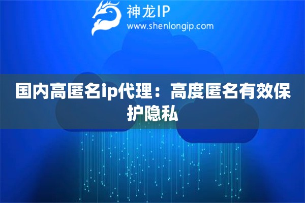 國內高匿名ip代理：高度匿名有效保護隱私