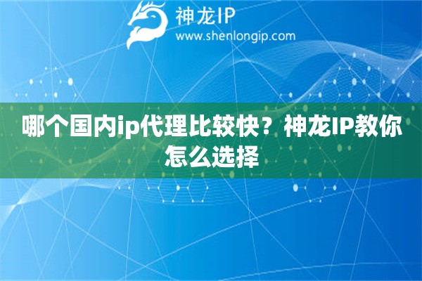 哪個國內ip代理比較快？神龍IP教你怎么選擇