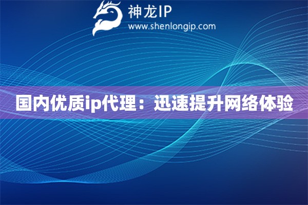 國內優質ip代理：迅速提升網絡體驗