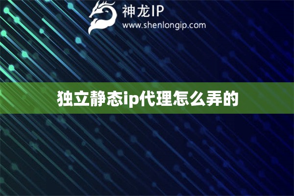 獨(dú)立靜態(tài)ip代理怎么弄的