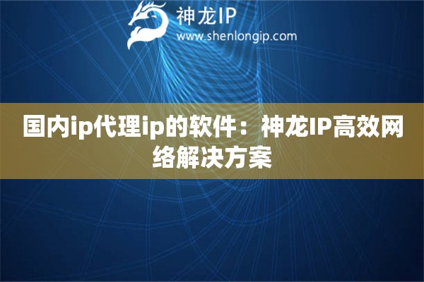 國內ip代理ip的軟件：神龍IP高效網絡解決方案