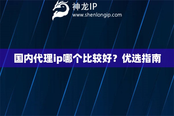 國內代理ip哪個比較好？優選指南