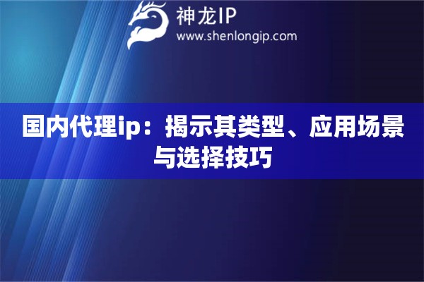 國內代理ip：揭示其類型、應用場景與選擇技巧