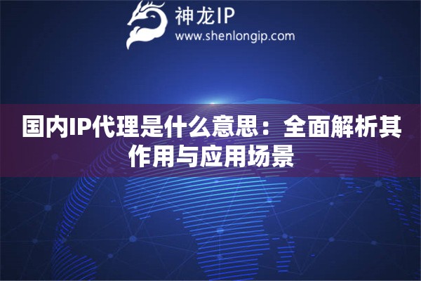 國內IP代理是什么意思：全面解析其作用與應用場景