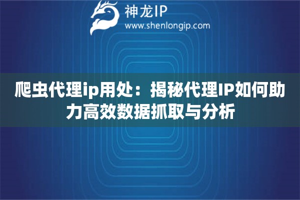爬蟲代理ip用處：揭秘代理IP如何助力高效數(shù)據(jù)抓取與分析