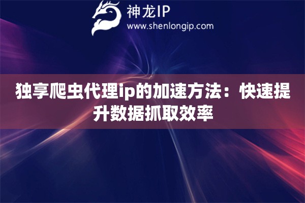 獨(dú)享爬蟲代理ip的加速方法：快速提升數(shù)據(jù)抓取效率