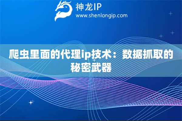 爬蟲里面的代理ip技術(shù)：數(shù)據(jù)抓取的秘密武器