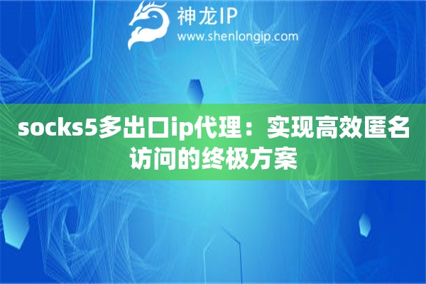 socks5多出口ip代理：實現高效匿名訪問的終極方案