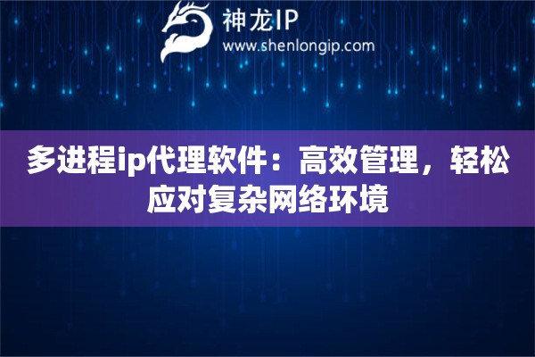 多進(jìn)程ip代理軟件：高效管理，輕松應(yīng)對復(fù)雜網(wǎng)絡(luò)環(huán)境