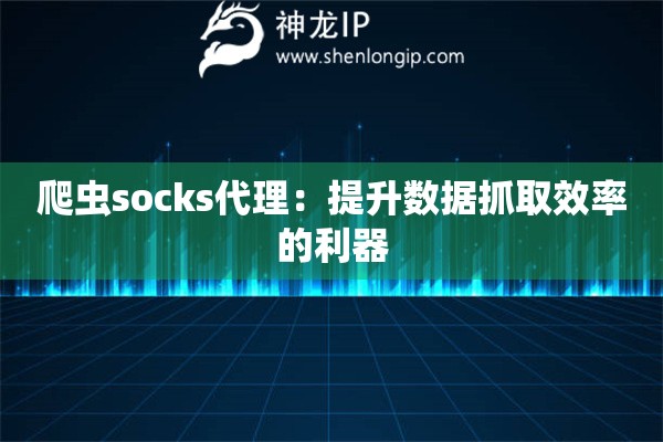 爬蟲socks代理：提升數據抓取效率的利器