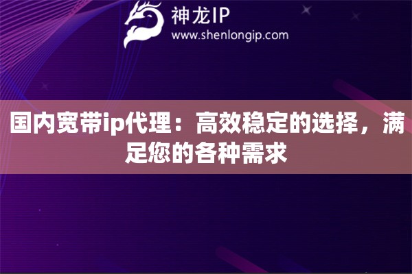 國內寬帶ip代理：高效穩定的選擇，滿足您的各種需求