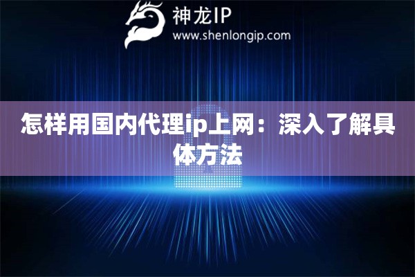 怎樣用國內代理ip上網：深入了解具體方法