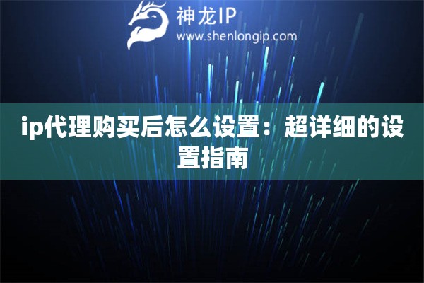 ip代理購買后怎么設置：超詳細的設置指南